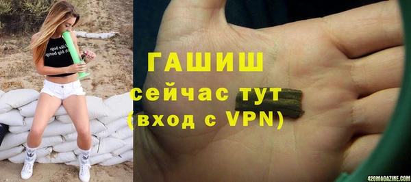 ешки Бородино