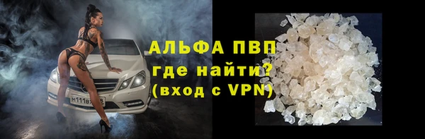 ешки Бородино
