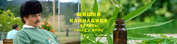 шишки Бугульма