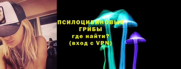ешки Бородино