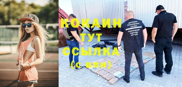 ешки Бородино