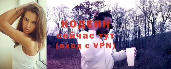 ешки Бородино
