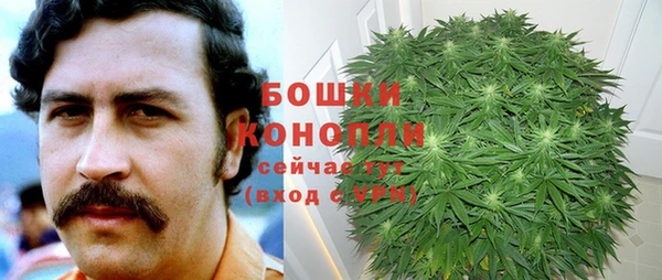 ешки Бородино