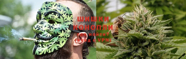 ешки Бородино