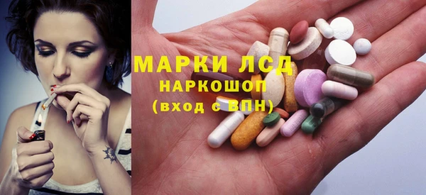 ешки Бородино