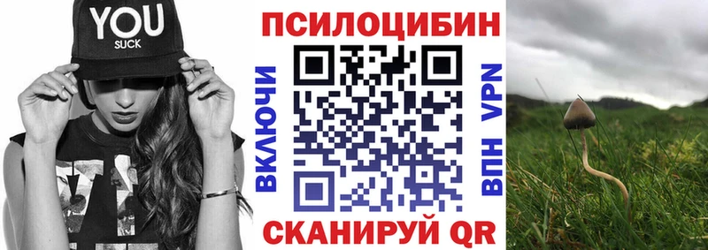 Галлюциногенные грибы Psilocybine cubensis  купить наркотик  Высоковск 